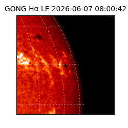 gong - 2026-06-07T08:00:42