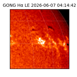 gong - 2026-06-07T04:14:42
