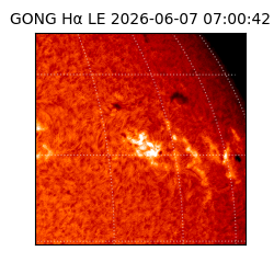 gong - 2026-06-07T07:00:42