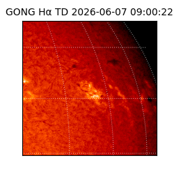 gong - 2026-06-07T09:00:22