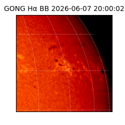 gong - 2026-06-07T20:00:02