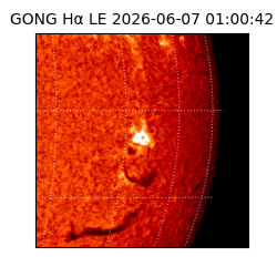 gong - 2026-06-07T01:00:42