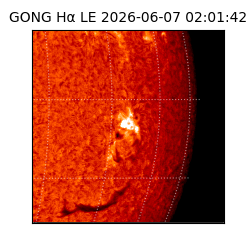 gong - 2026-06-07T02:01:42