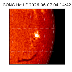 gong - 2026-06-07T04:14:42