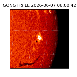gong - 2026-06-07T06:00:42