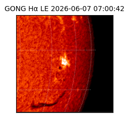 gong - 2026-06-07T07:00:42