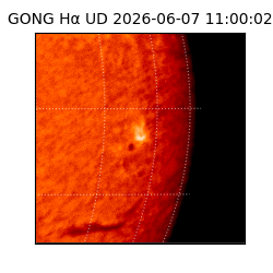 gong - 2026-06-07T11:00:02