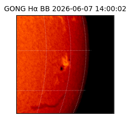 gong - 2026-06-07T14:00:02