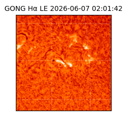 gong - 2026-06-07T02:01:42
