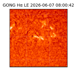 gong - 2026-06-07T08:00:42