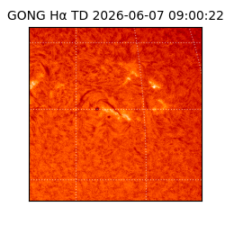 gong - 2026-06-07T09:00:22