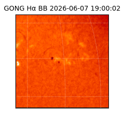 gong - 2026-06-07T19:00:02