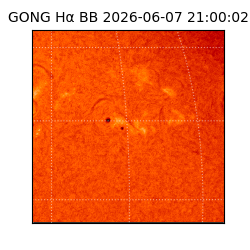 gong - 2026-06-07T21:00:02