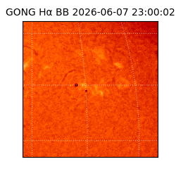 gong - 2026-06-07T23:00:02