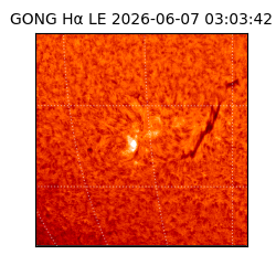 gong - 2026-06-07T03:03:42