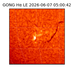 gong - 2026-06-07T05:00:42