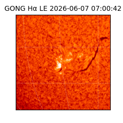 gong - 2026-06-07T07:00:42