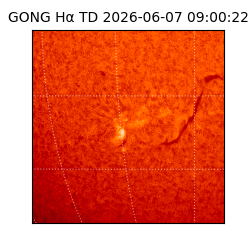 gong - 2026-06-07T09:00:22