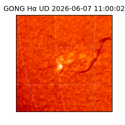 gong - 2026-06-07T11:00:02