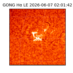 gong - 2026-06-07T02:01:42