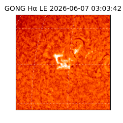 gong - 2026-06-07T03:03:42