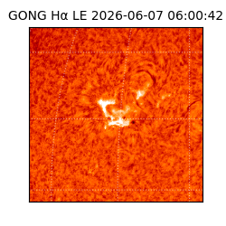 gong - 2026-06-07T06:00:42