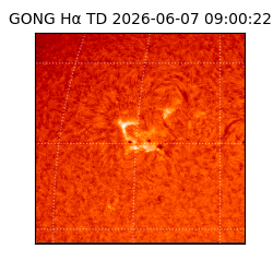 gong - 2026-06-07T09:00:22