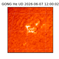 gong - 2026-06-07T12:00:02