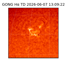 gong - 2026-06-07T13:09:22