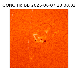 gong - 2026-06-07T20:00:02