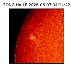 gong - 2026-06-07T04:14:42