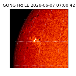 gong - 2026-06-07T07:00:42