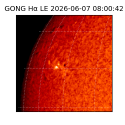 gong - 2026-06-07T08:00:42