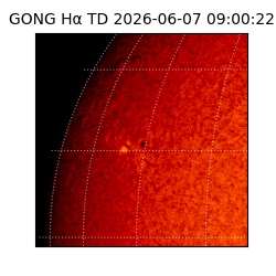 gong - 2026-06-07T09:00:22