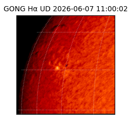 gong - 2026-06-07T11:00:02