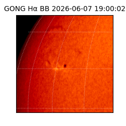 gong - 2026-06-07T19:00:02