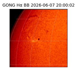 gong - 2026-06-07T20:00:02