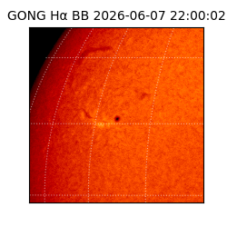 gong - 2026-06-07T22:00:02