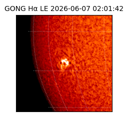 gong - 2026-06-07T02:01:42