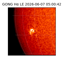 gong - 2026-06-07T05:00:42