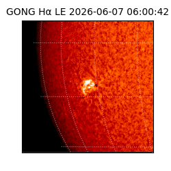 gong - 2026-06-07T06:00:42