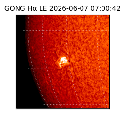 gong - 2026-06-07T07:00:42