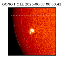 gong - 2026-06-07T08:00:42