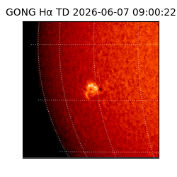 gong - 2026-06-07T09:00:22