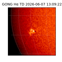 gong - 2026-06-07T13:09:22