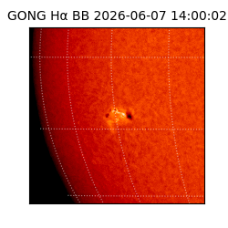 gong - 2026-06-07T14:00:02