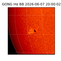 gong - 2026-06-07T20:00:02