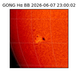 gong - 2026-06-07T23:00:02
