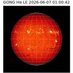 gong - 2026-06-07T01:00:42