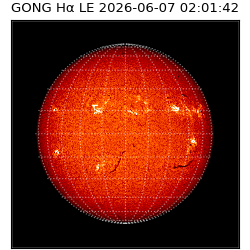 gong - 2026-06-07T02:01:42